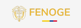 logo fenoge