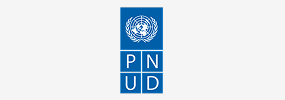logo pnud